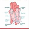 1662020791 2.png