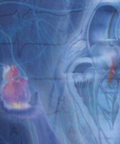 2016 Electrophysiology Board Review