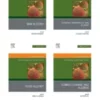 5 x 7 in.webp