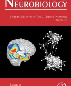 Modern Concepts of Focal Epileptic Networks (Original PDF from Publisher)