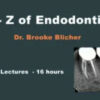 A to Z Endodontics.jpg