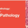Classic Lectures in Pathology What You Need to Know Gynecologic Pathology.jpg