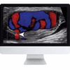Clinical Ultrasound Review.png