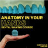 Dental Waxing Course.jpg