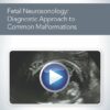 Fetal Neurosonology Diagnostic Approach to Common Malformations.jpg