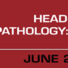 Head and Neck Pathology Start to Finish.jpg