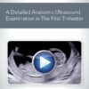 How to Perform a Detailed Anatomic Ultrasound Examination in the First Trimester.jpg