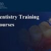 IDD Digital dentistry Training Online Courses 2022.jpg