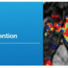Multi Parametric Prostate MRI and MR Guided Intervention A Video CME Teaching Activity.jpg
