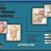 Netter Interactive Atlas Of Human Anatomy.jpg