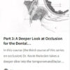 Temporomandibular Joint.jpg