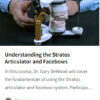 Understanding the Stratos Articulator and Facebows.jpg