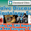 Valve Disease Diastology Summit Agenda.jpg