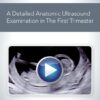 Aium how to perform a detailed anatomic ultrasound examination in the first trimester medical video courses 149007 720x.jpg