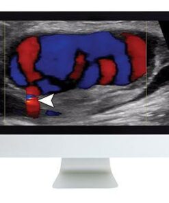 ARRS Clinical Ultrasound Review