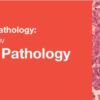 Gyn path.jpg