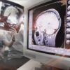 Neuroscience imaging 1.jpg