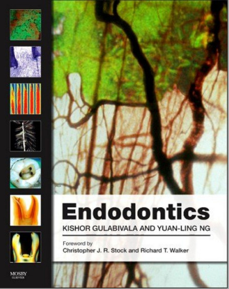 Ebook Endodontics, 4e 4th Edition