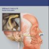 The Facial Nerve The Facial Nerve