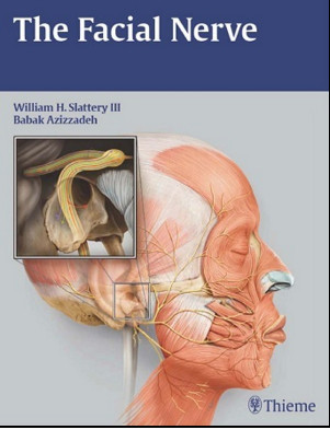 The Facial Nerve The Facial Nerve