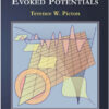 Human Auditory Evoked Potentials Human Auditory Evoked Potentials