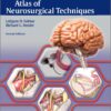 100 surgical technique videos ( Atlas of Neurosurgical Techniques: Brain 2nd edition ) 100 surgical technique videos ( Atlas of Neurosurgical Techniques: Brain 2nd edition )