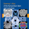 Duvernoy’s Atlas of the Human Brain Stem and Cerebellum: High-Field MRI, Surface Anatomy, Internal Structure, Vascularization and 3 D Sectional Anatomy 1st Edition