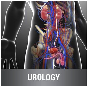 Urology CME Online Bundle 2017 PDF & VIDEO Urology CME Online Bundle 2017 PDF & VIDEO