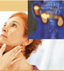 EXPERTS’ GUIDE TO HEAD & NECK IMAGING ( 8 dvd video )