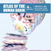 Atlas of the Human Brain, Fourth Edition 4th Edition PDF Atlas of the Human Brain, Fourth Edition 4th Edition PDF
