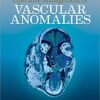 Operative Management of Vascular Anomalies 1st Edition PDF & VIDEO Operative Management of Vascular Anomalies 1st Edition PDF & VIDEO