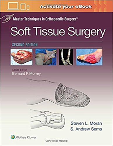 Master Techniques in Orthopaedic Surgery: Soft Tissue Surgery Second Edition PDF Master Techniques in Orthopaedic Surgery: Soft Tissue Surgery Second Edition PDF
