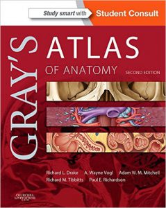 Gray’s Atlas of Anatomy, 2nd Edition (PDF) Gray’s Atlas of Anatomy, 2nd Edition (PDF)
