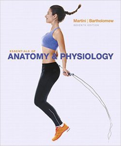 Essentials of Anatomy & Physiology 7th Edition PDF Essentials of Anatomy & Physiology 7th Edition PDF
