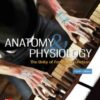 Anatomy & Physiology: The Unity of Form and Function, 8th Edition PDF Anatomy & Physiology: The Unity of Form and Function, 8th Edition PDF