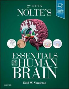 Nolte’s Essentials of the Human Brain, 2nd edition PDF Nolte’s Essentials of the Human Brain, 2nd edition PDF