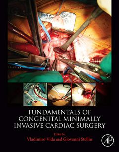 Fundamentals of Pediatric Minimally Invasive Cardiac Surgery PDF