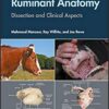 Guide to Ruminant Anatomy: Dissection and Clinical Aspects 1st Edition PDF Guide to Ruminant Anatomy: Dissection and Clinical Aspects 1st Edition PDF