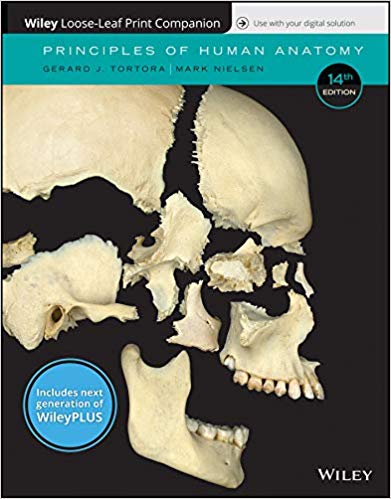 Principles of Human Anatomy, 14e WileyPLUS (next generation) + Loose-leaf 14th Edition Principles of Human Anatomy, 14e WileyPLUS (next generation) + Loose-leaf 14th Edition