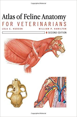 Atlas of Feline Anatomy For Veterinarians 2nd Edition Atlas of Feline Anatomy For Veterinarians 2nd Edition