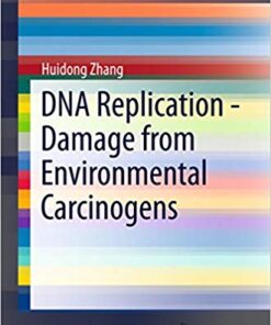 DNA Replication – Damage from Environmental Carcinogens (SpringerBriefs in Biochemistry and Molecular Biology Book 17)