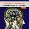 Frontiers in Neurosurgery Volume 1: NeuroEndovascular Challenges PDF Frontiers in Neurosurgery Volume 1: NeuroEndovascular Challenges PDF