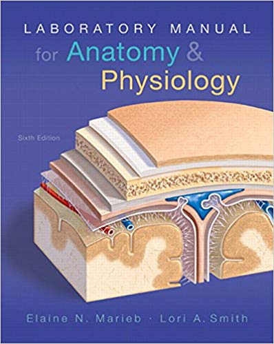 Laboratory Manual for Anatomy & Physiology 6th Edition PDF Laboratory Manual for Anatomy & Physiology 6th Edition PDF