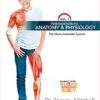 Introduction to Anatomy & Physiology Vol 1: The Musculoskeletal System (Wonders of the Human Body) Introduction to Anatomy & Physiology Vol 1: The Musculoskeletal System (Wonders of the Human Body)