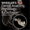 Wheeler’s Dental Anatomy, Physiology and Occlusion 10th Edition