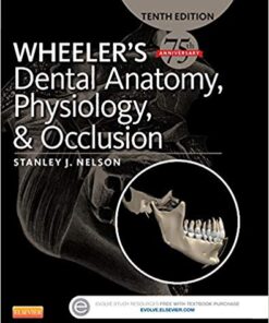Wheeler’s Dental Anatomy, Physiology and Occlusion 10th Edition