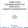 Engineering Crystallography: From Molecule to Crystal to Functional Form (NATO Science for Peace and Security Series A: Chemistry and Biology) 1st Engineering Crystallography: From Molecule to Crystal to Functional Form (NATO Science for Peace and Security Series A: Chemistry and Biology) 1st