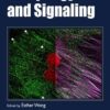 Autophagy and Signaling (Methods in Signal Transduction Series) 1st Autophagy and Signaling (Methods in Signal Transduction Series) 1st