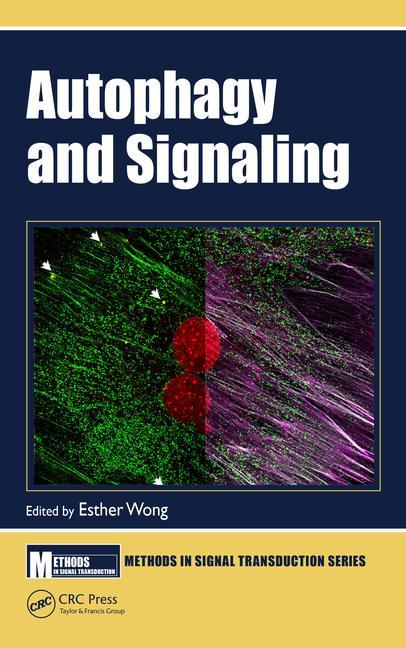 Autophagy and Signaling (Methods in Signal Transduction Series) 1st Autophagy and Signaling (Methods in Signal Transduction Series) 1st