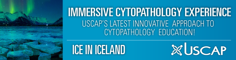 USCAP Immersive Cytopathology Experience ICE in Iceland 2019 (CME VIDEOS) USCAP Immersive Cytopathology Experience ICE in Iceland 2019 (CME VIDEOS)